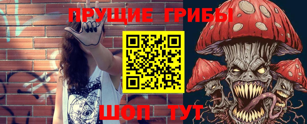 Галлюциногенные грибы Psilocybine cubensis Азов